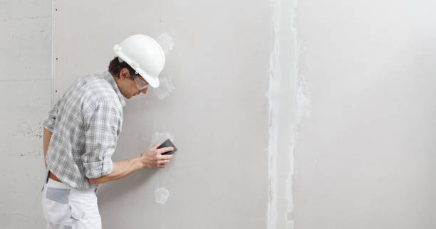 Best Mold Documentation for Insurance Claims  in Horizon West, FL