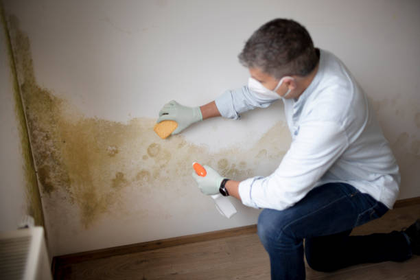Best Residential Mold Inspection & Testing  in Horizon West, FL