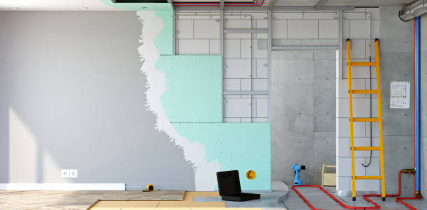  Horizon West, FL Mold Removal Pros